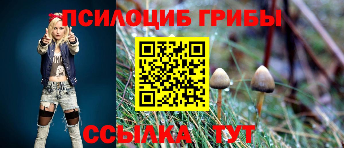 цена   Псилоцибиновые грибы GOLDEN TEACHER  Вход с VPN  Южноуральск 